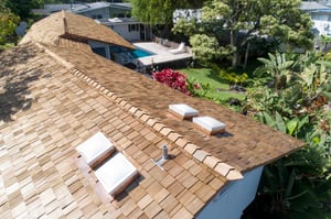 Princess Abigail Kawananakoa (D6) (1MB)00000