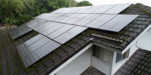 Moss Growth Atop a Tile Roof In Hawaii