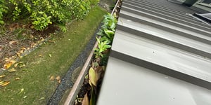 gutter-cleaning-maui