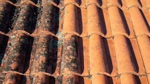 maui-roof-cleaning-and-maintenance